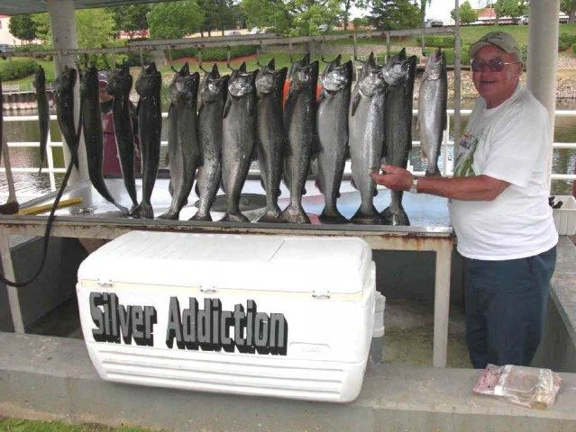 phoca_thumb_l_Silver_Addiction_Brag_Board.jpg