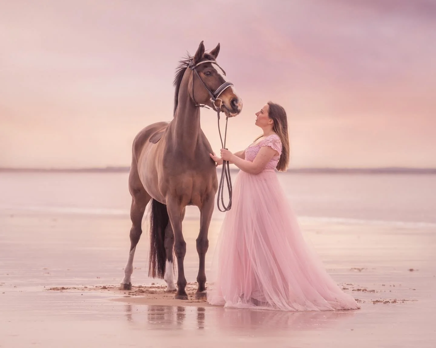 The Importance of Horse Photography