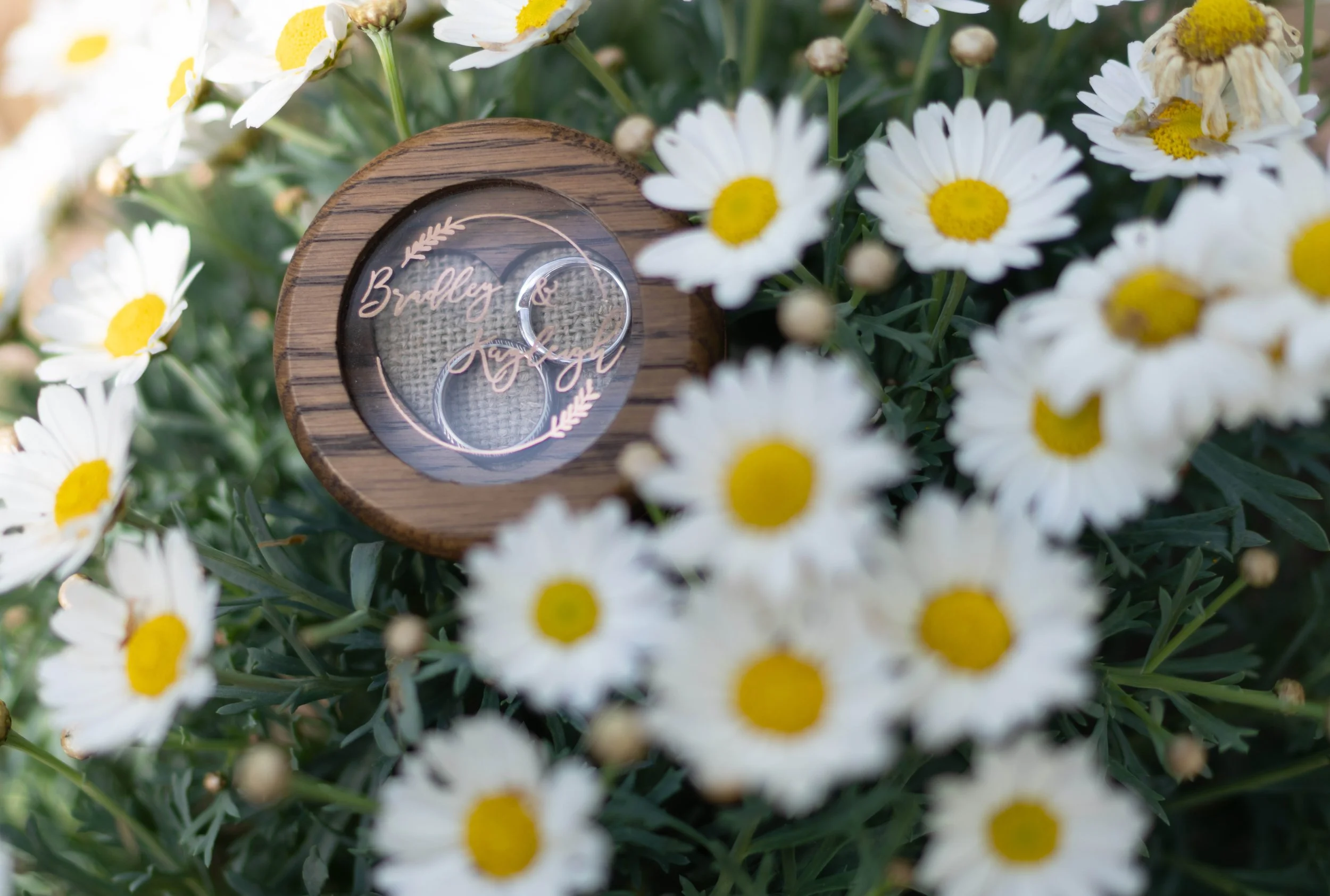 T&OWeddings366.jpg
