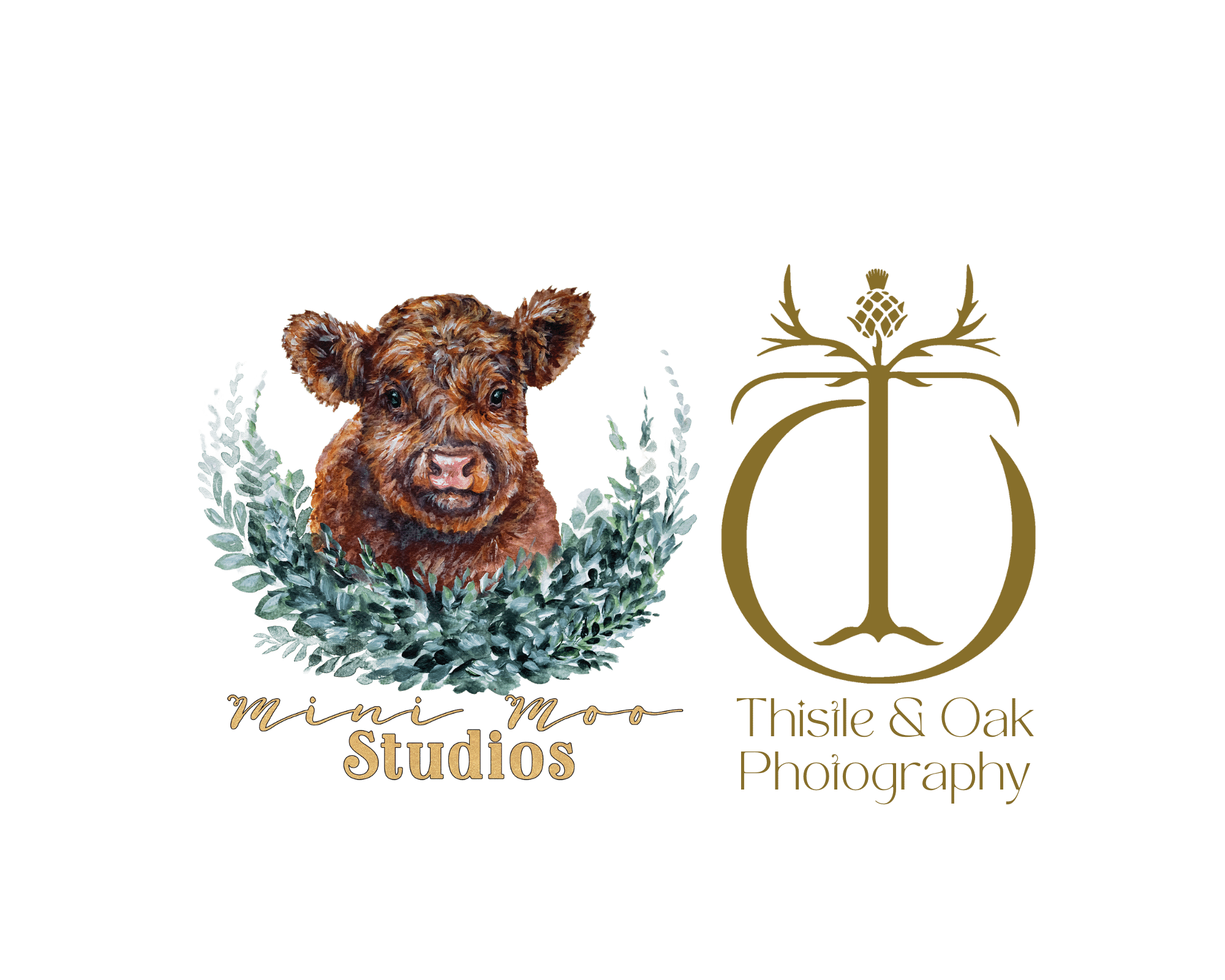 Mini Moo Studios™