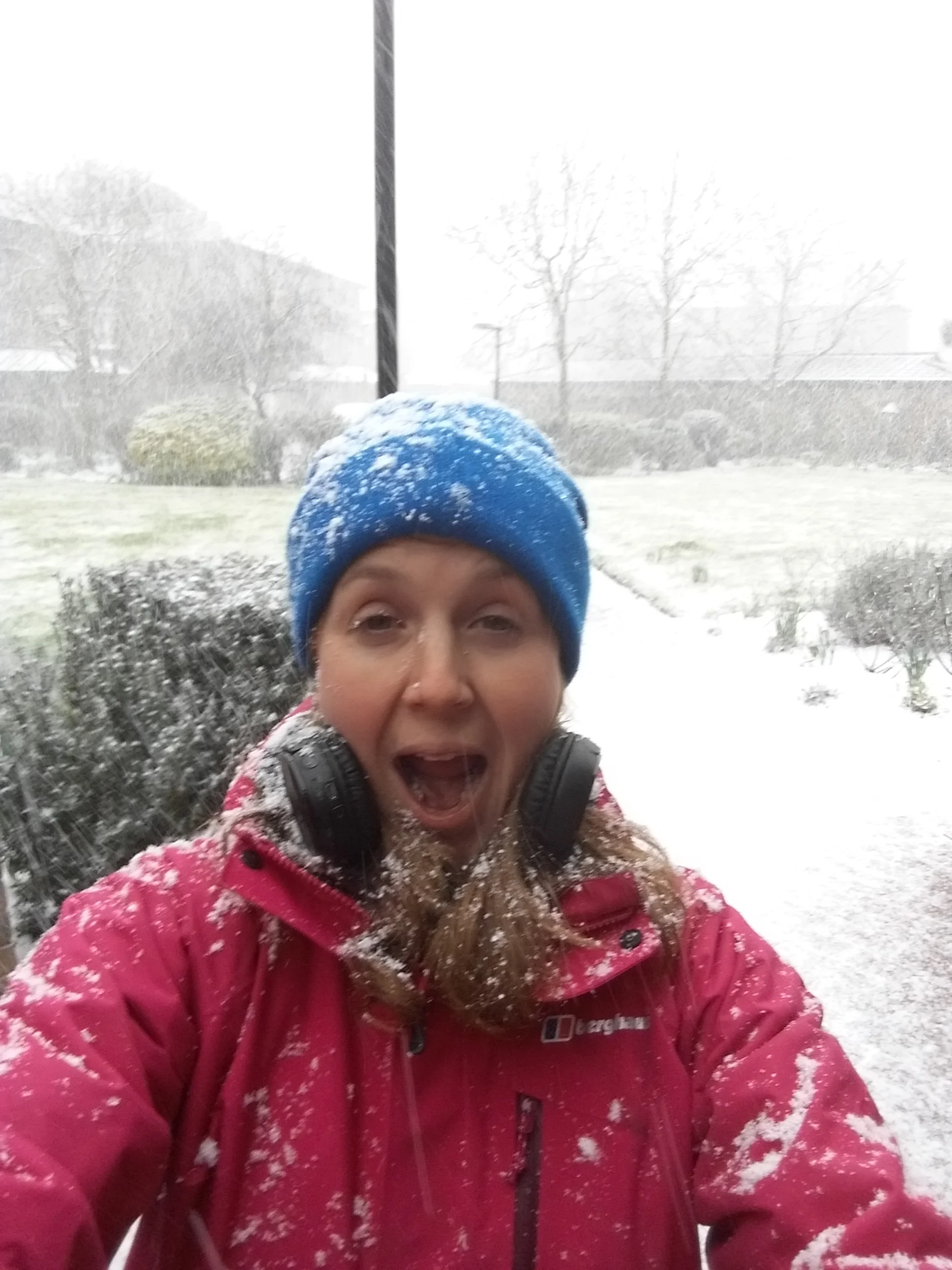 Caught in the snow!