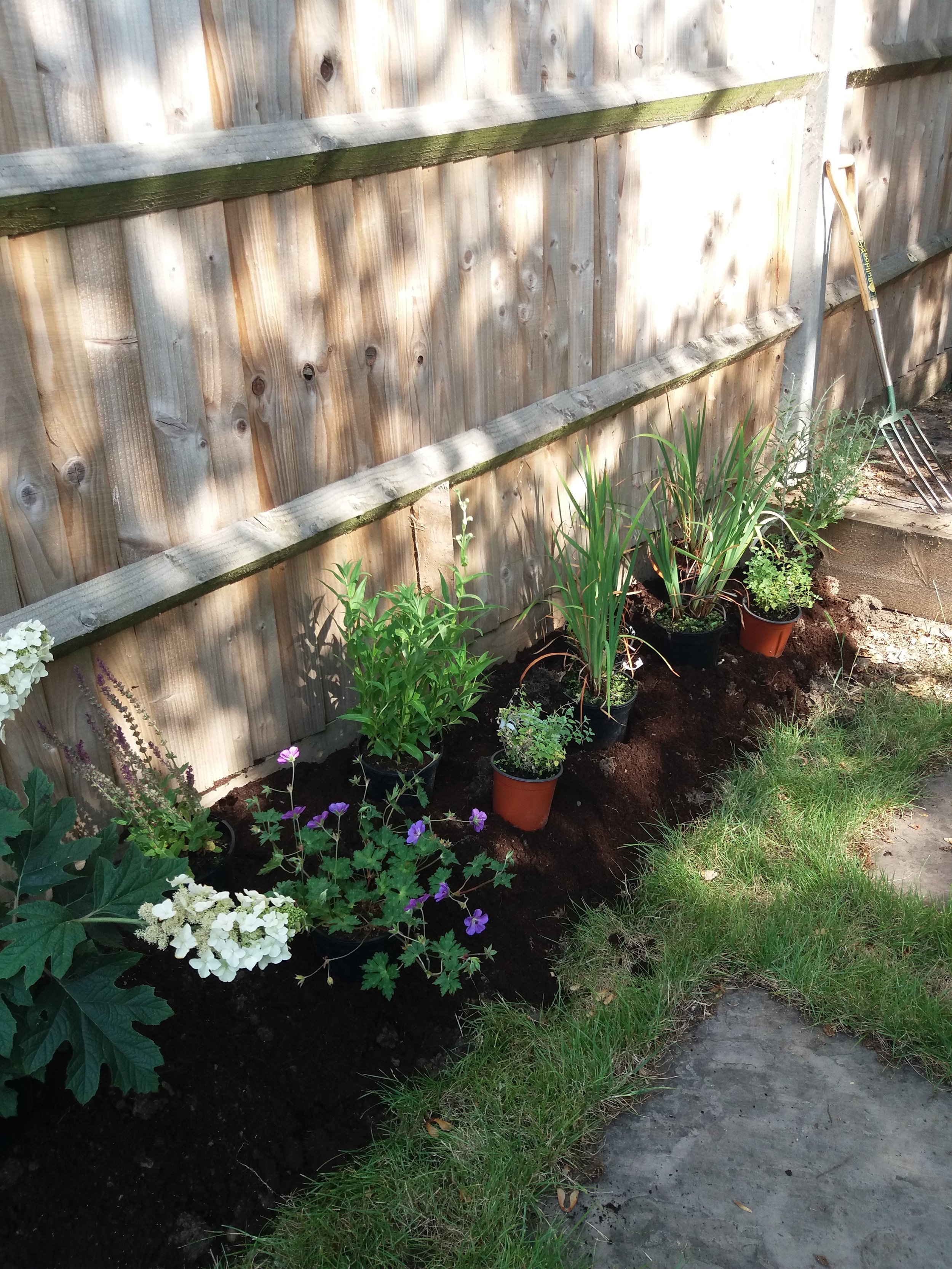 Planting up a garden for more summer colour, June 2018