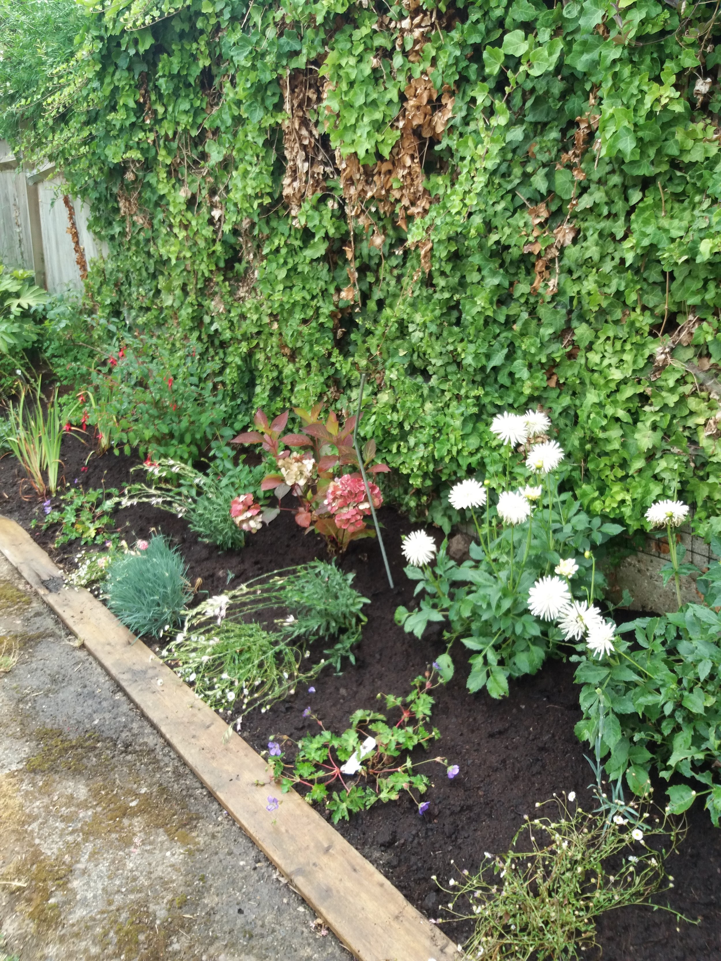 More cottage garden planting