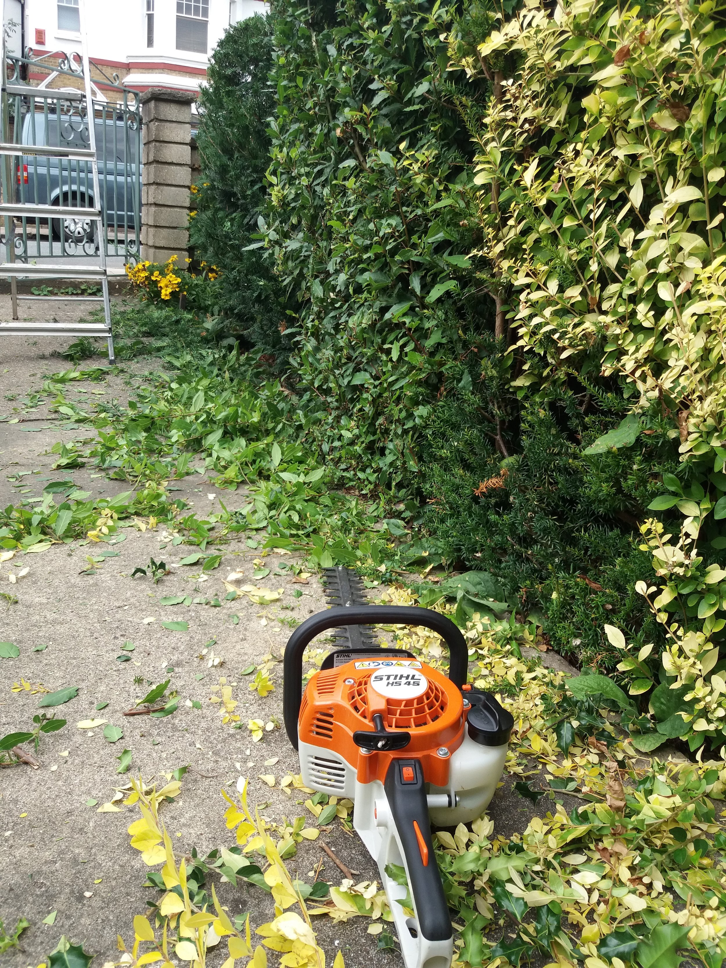 Hedge cutting, August 2018
