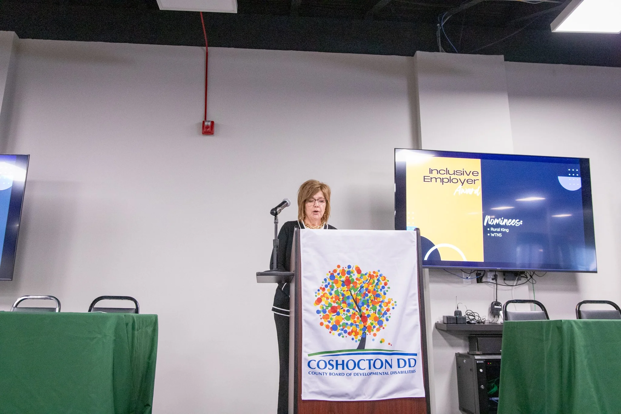 image of a woman on a stage behind a podium.  she is speaking into a microphone.
