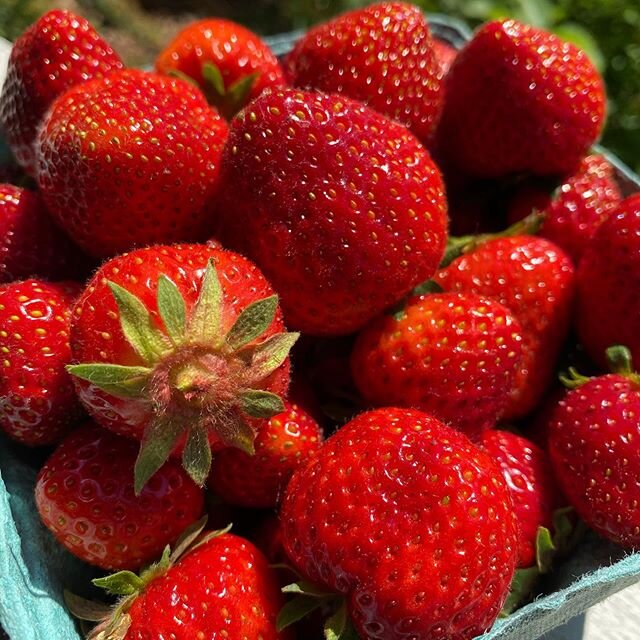 🍓Freshly picked strawberries have hit the farm stand! 🍓

Current farm stand offerings include:
Strawberries - $6/quart
Butterhead, Oakleaf &amp; Romaine Lettuce - $3 each
Baby Lettuce Trio (3 heads) - $4/bag
Salanova Lettuce Mix - $6/bag
Asparagus 