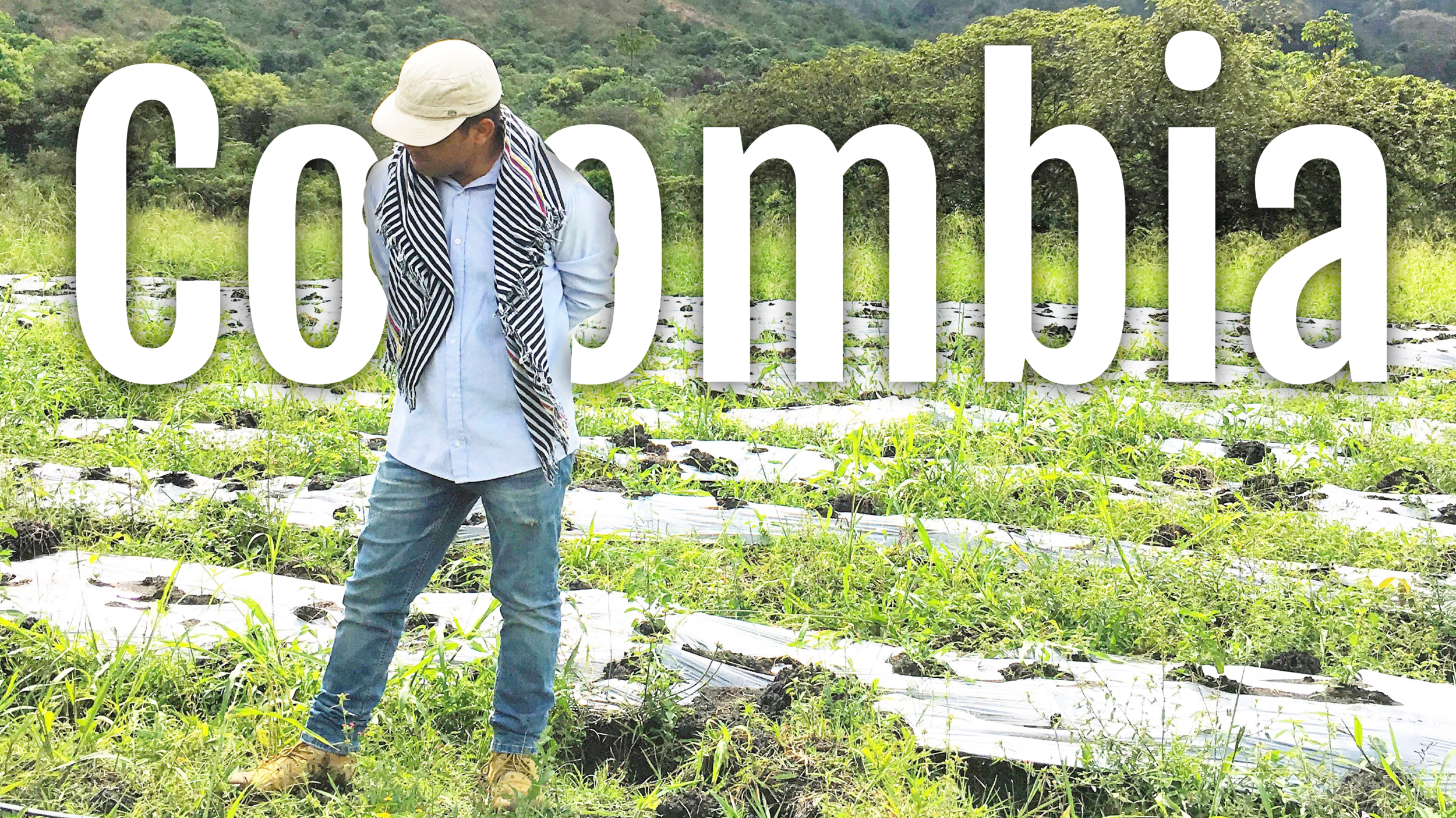 Colombia .png