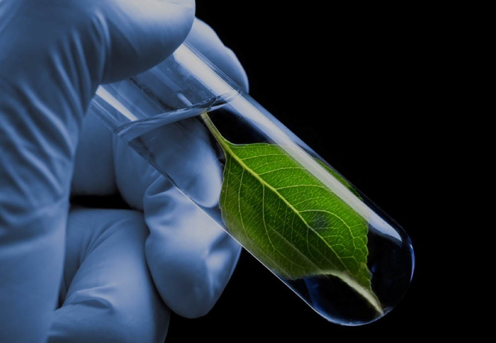 Provide total support to optimize success