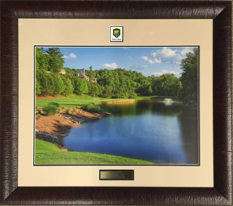 Framed Standard Award.jpg
