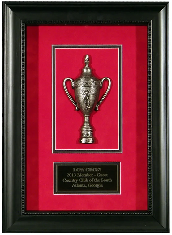 Framed Trophy Cup.jpg