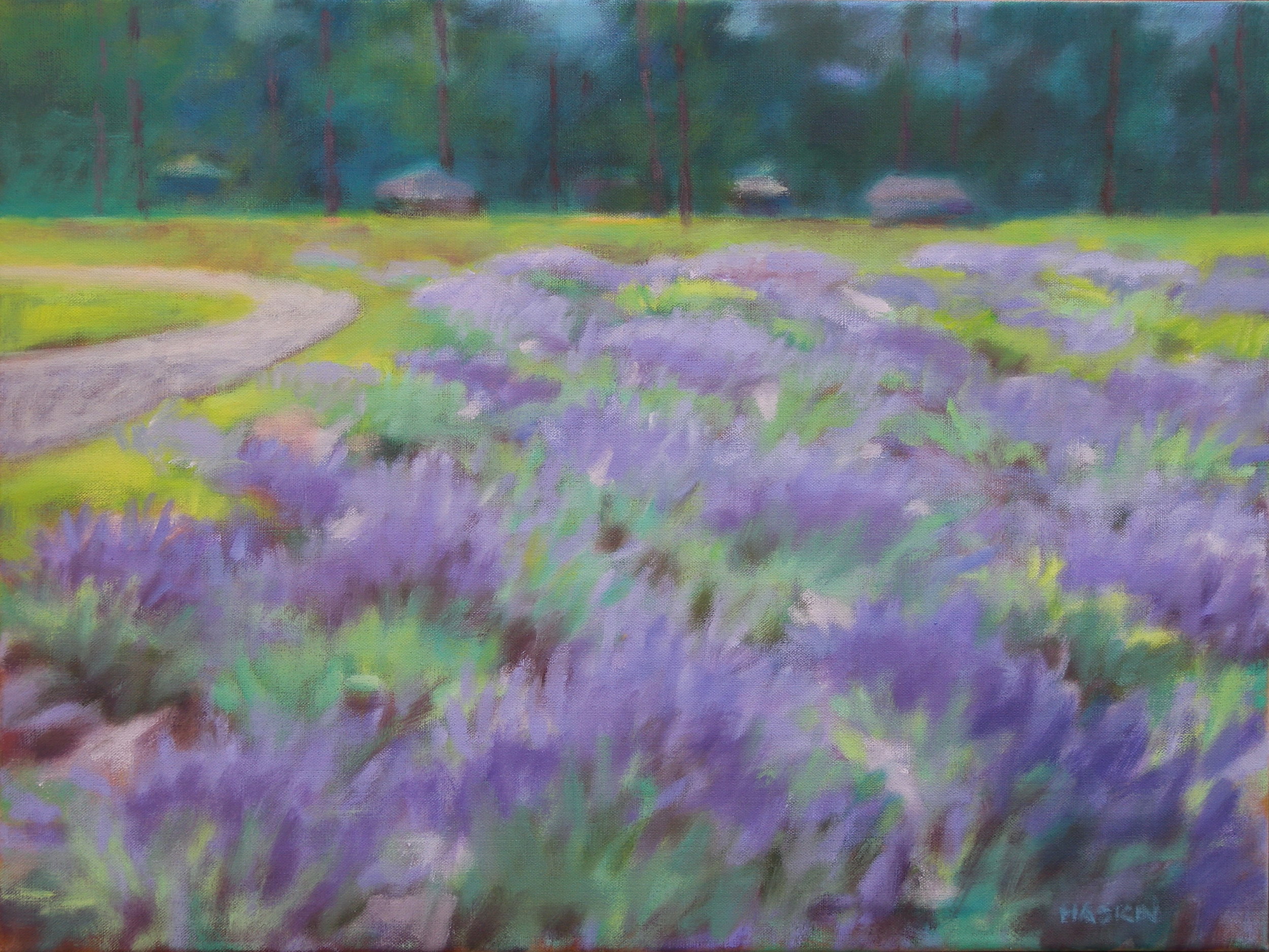 Lavender Fields I