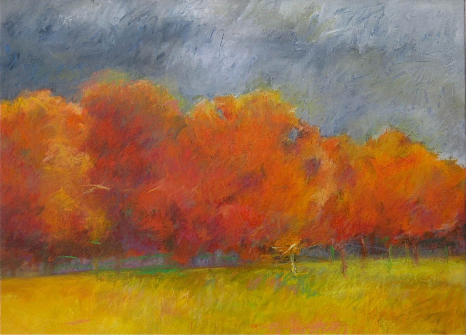 Fall Trees