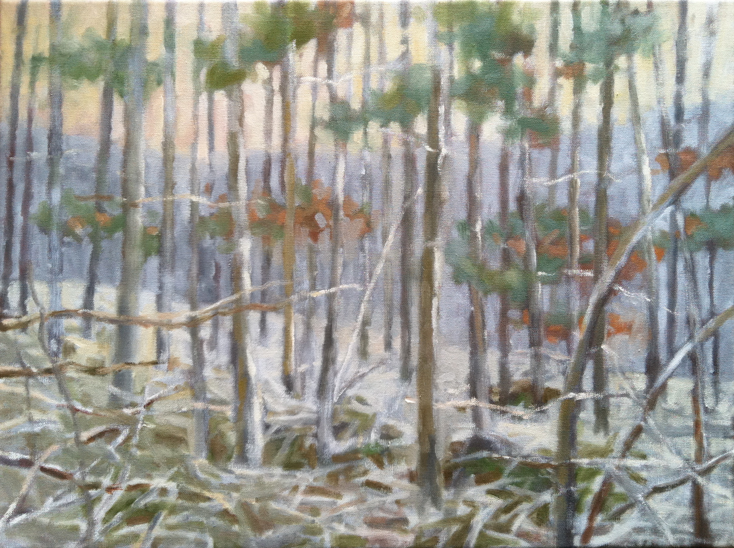 Winter Woods