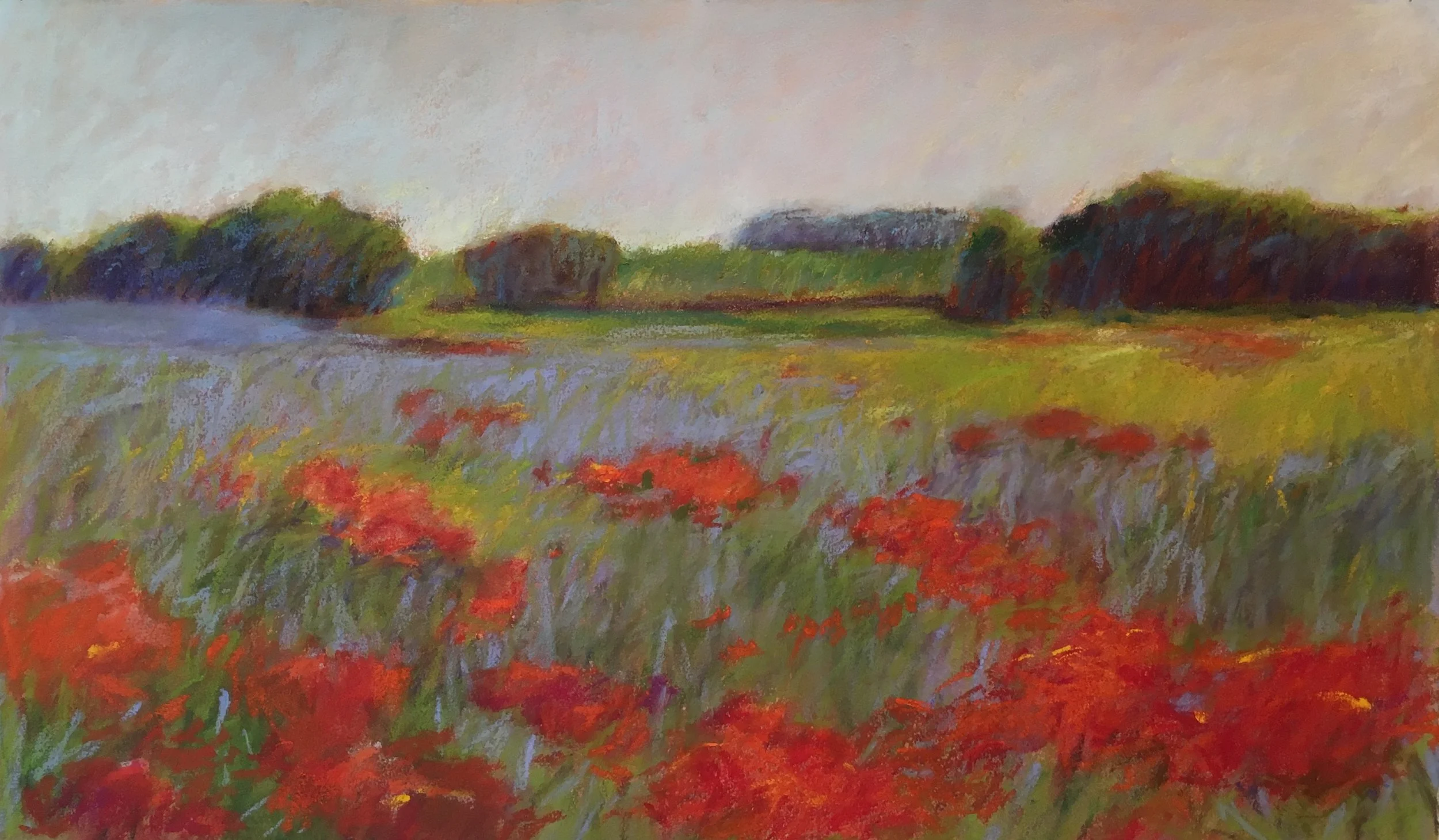 Poppy Fields, Languedoc