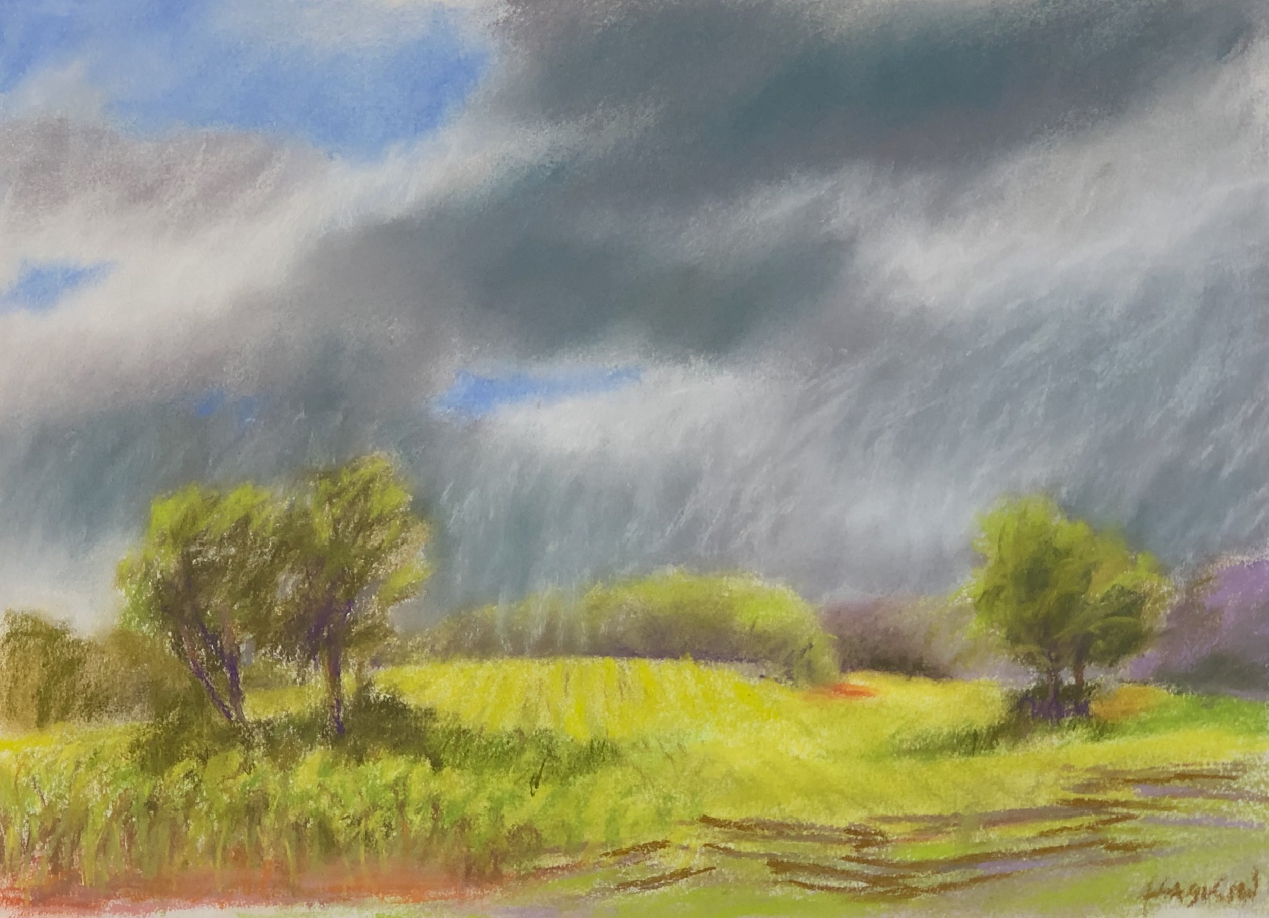 Tobacco Fields after Ida