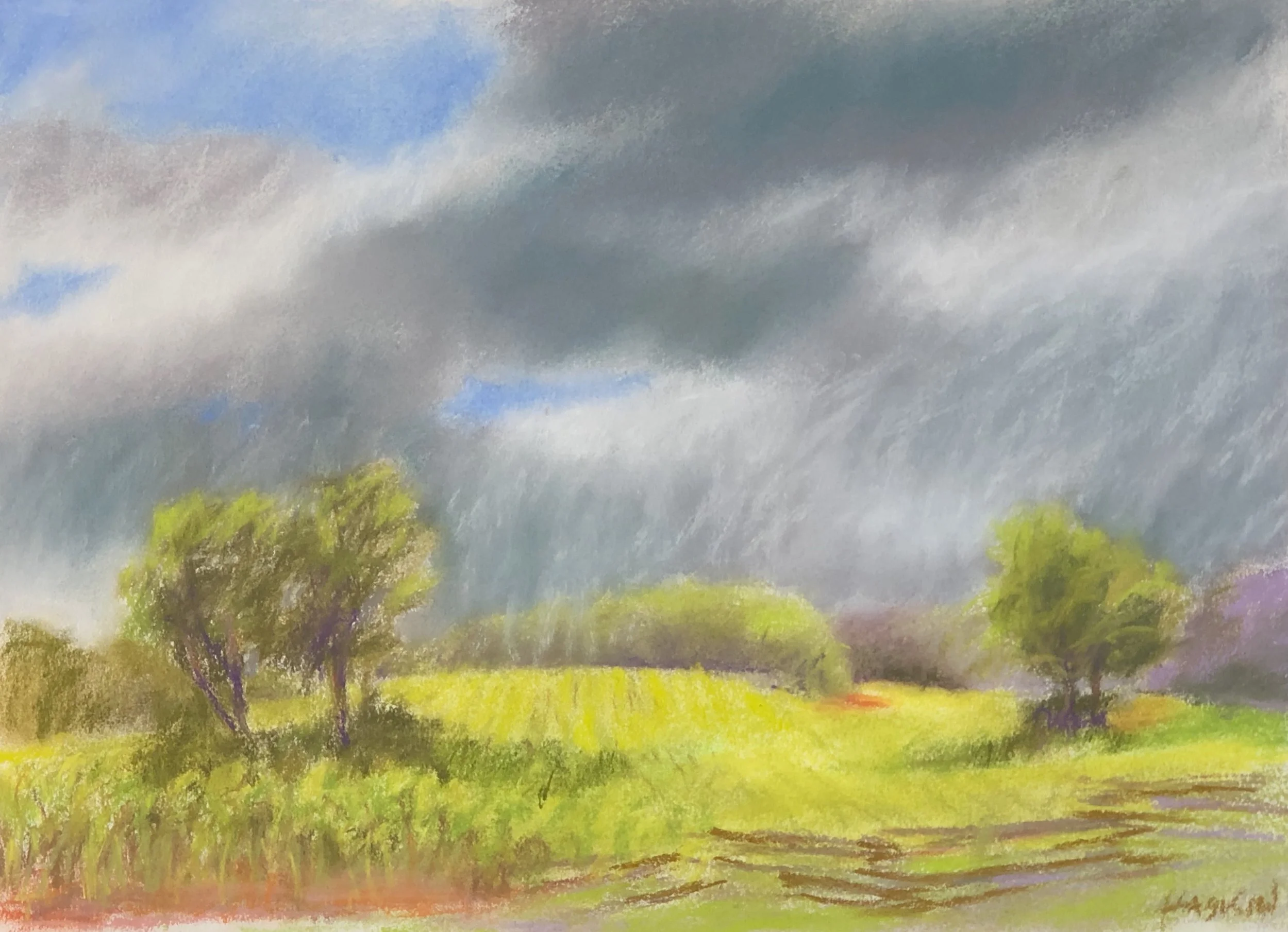 Tobacco Fields after Ida