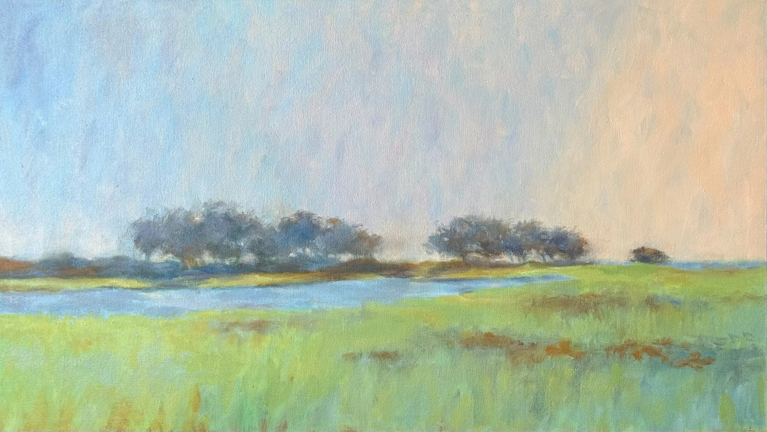 Pea Island Morning