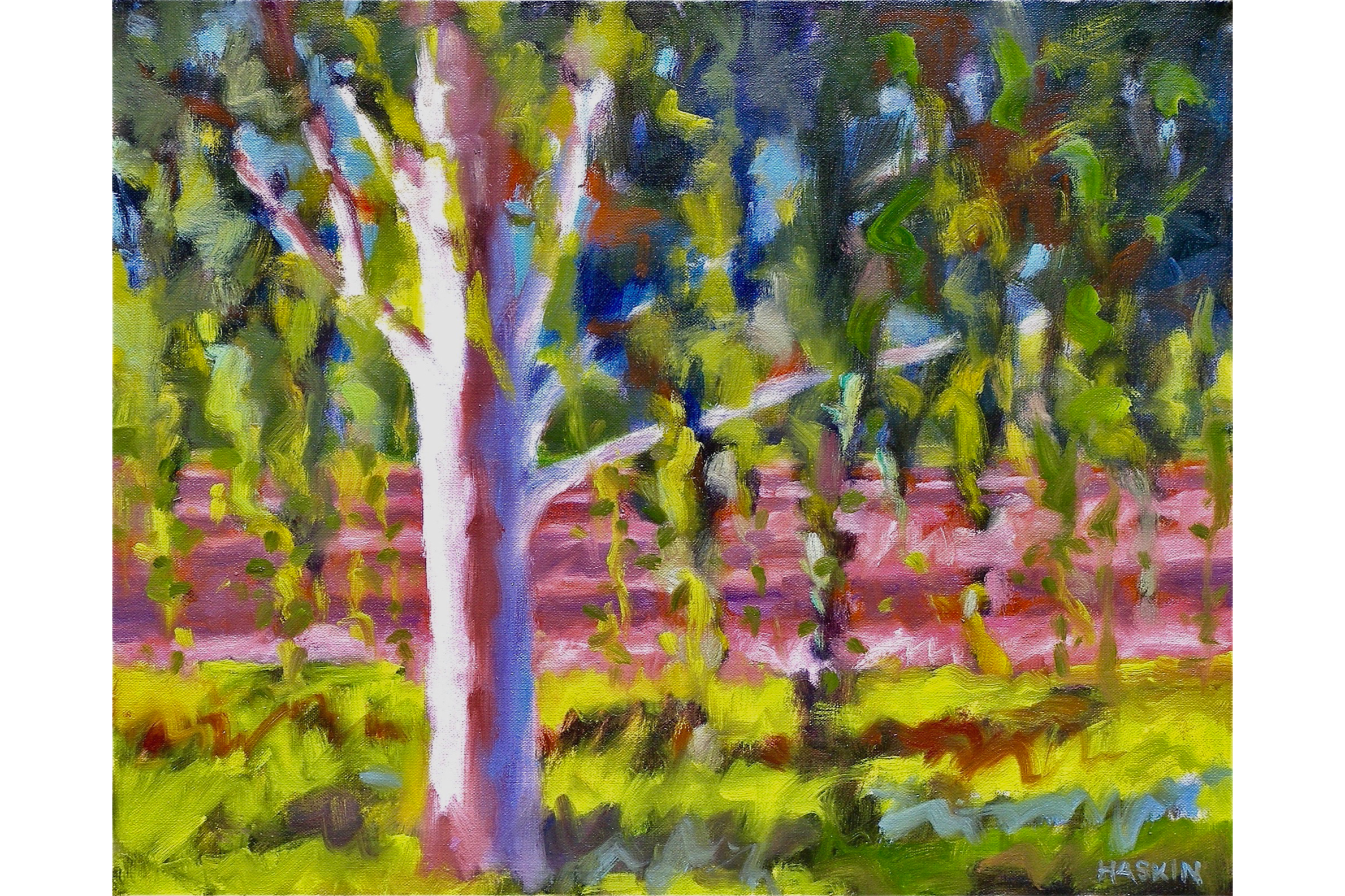 Weeping Birch.png