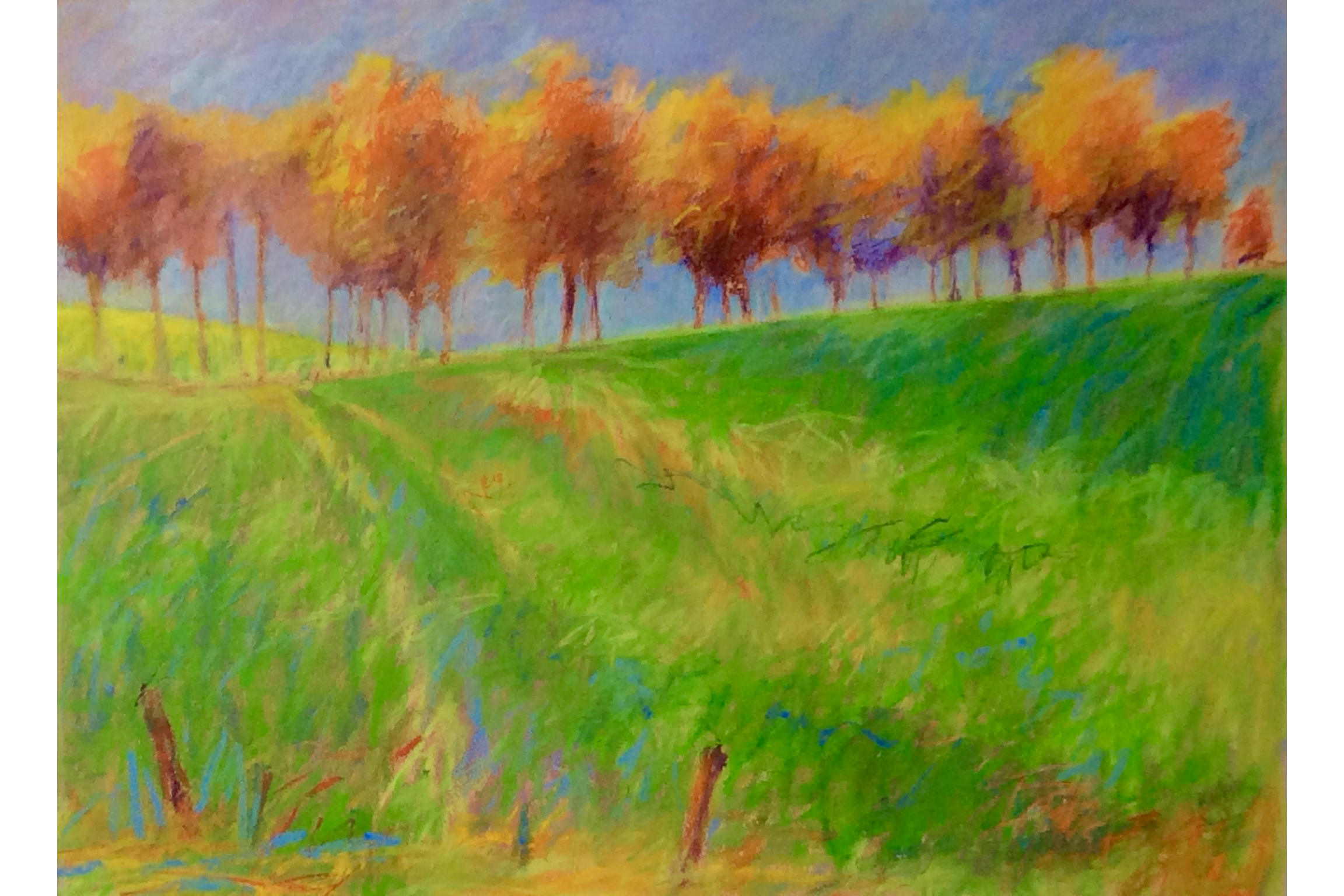 Hillside with French Oaks