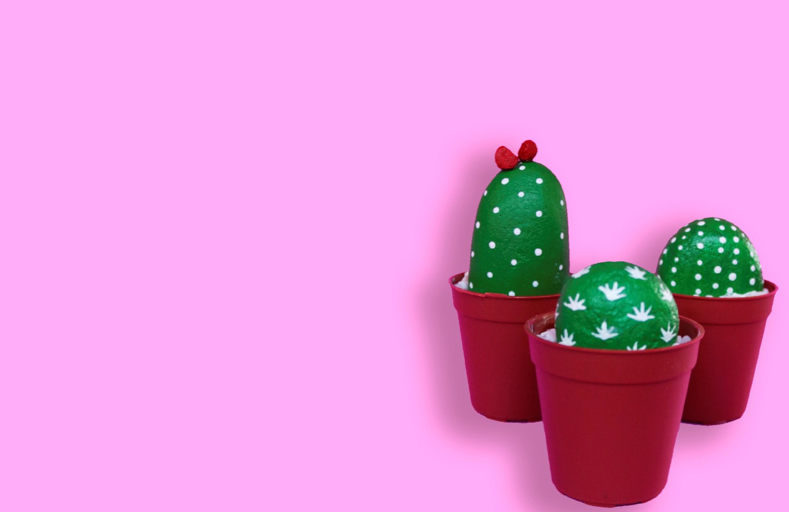 SucculentRock_IGAd_1.jpg