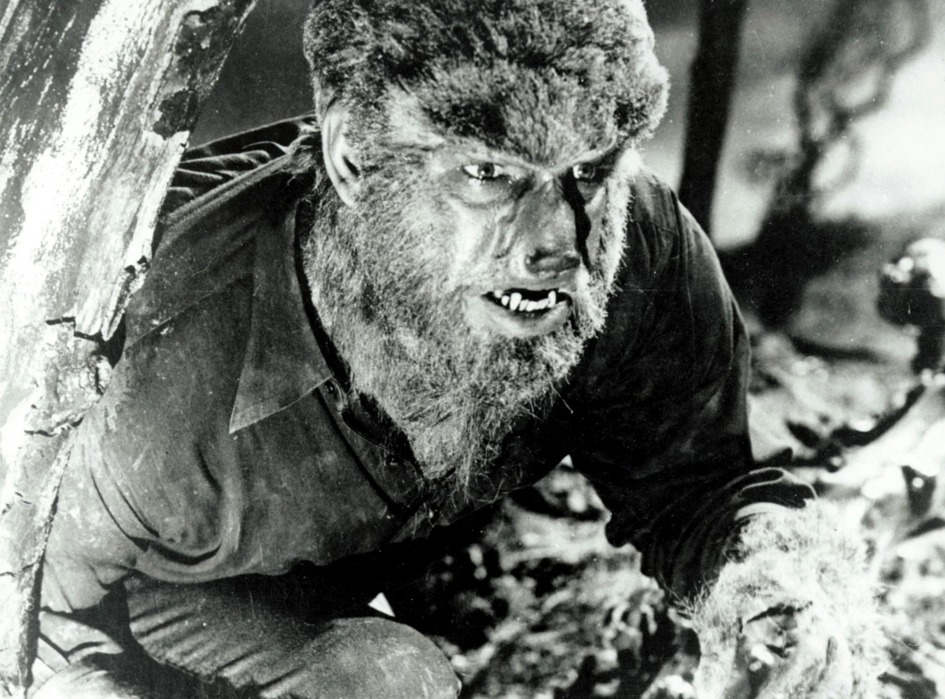 wolfman-01.jpg