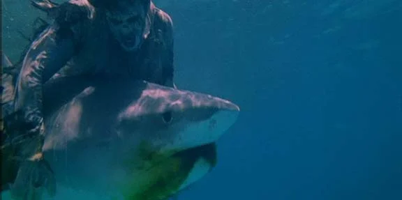 zombie-shark2.jpg