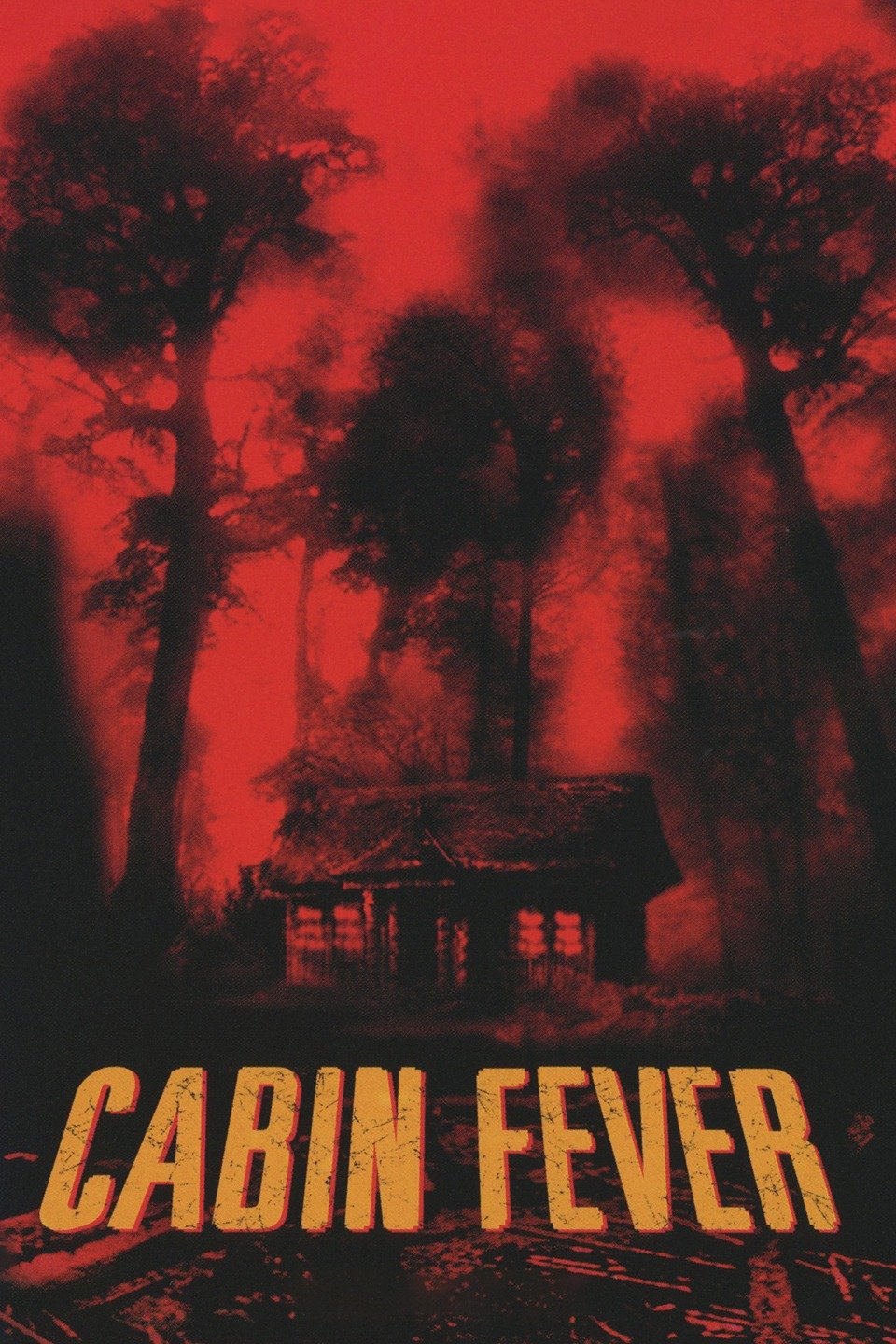 movies like cabin fever 2002 movies like cabin fever 2002