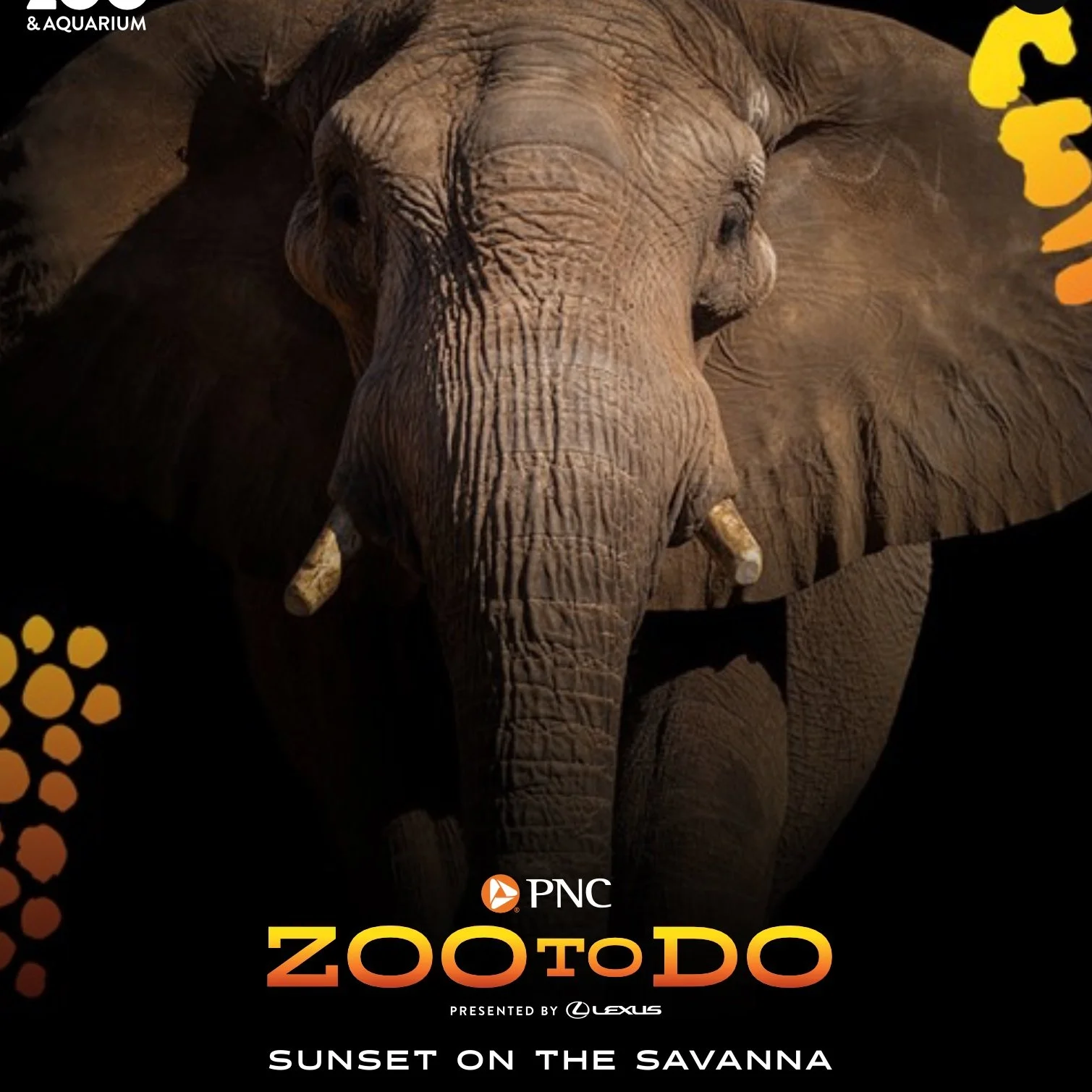ZOOtoDO- The Toledo Zoo