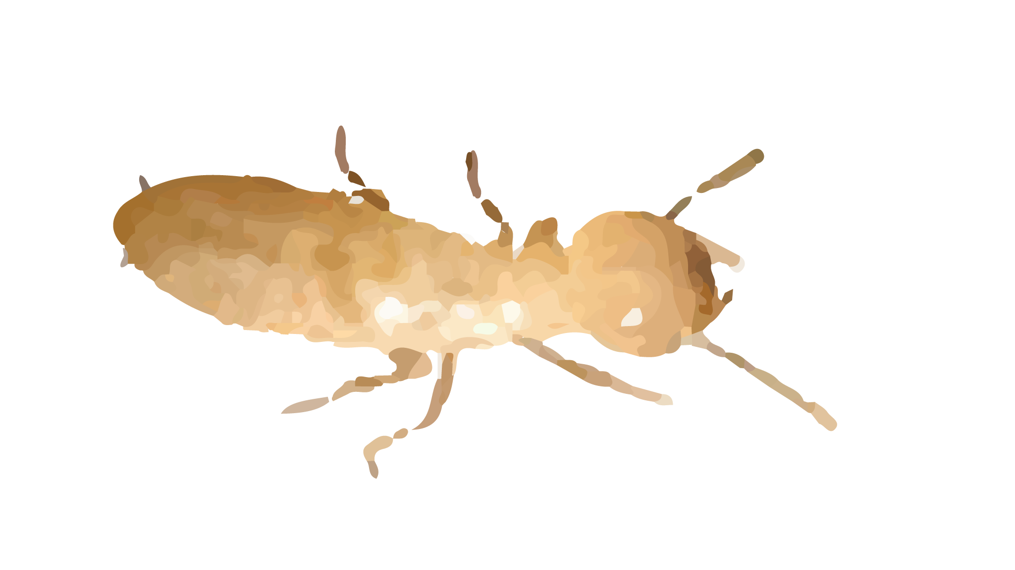 HR Termites.png