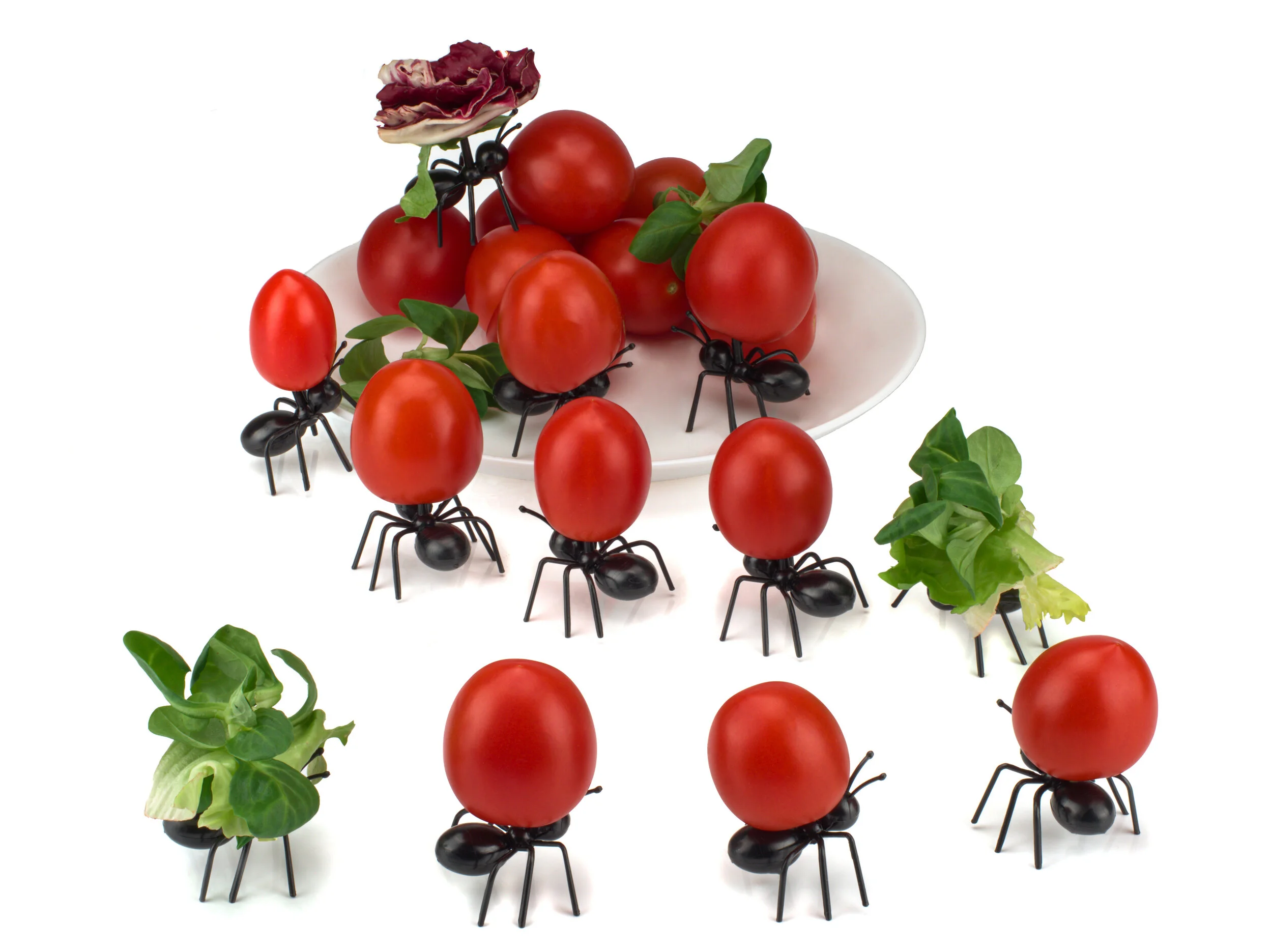 How to Keep Ants Out of Your Kitchen