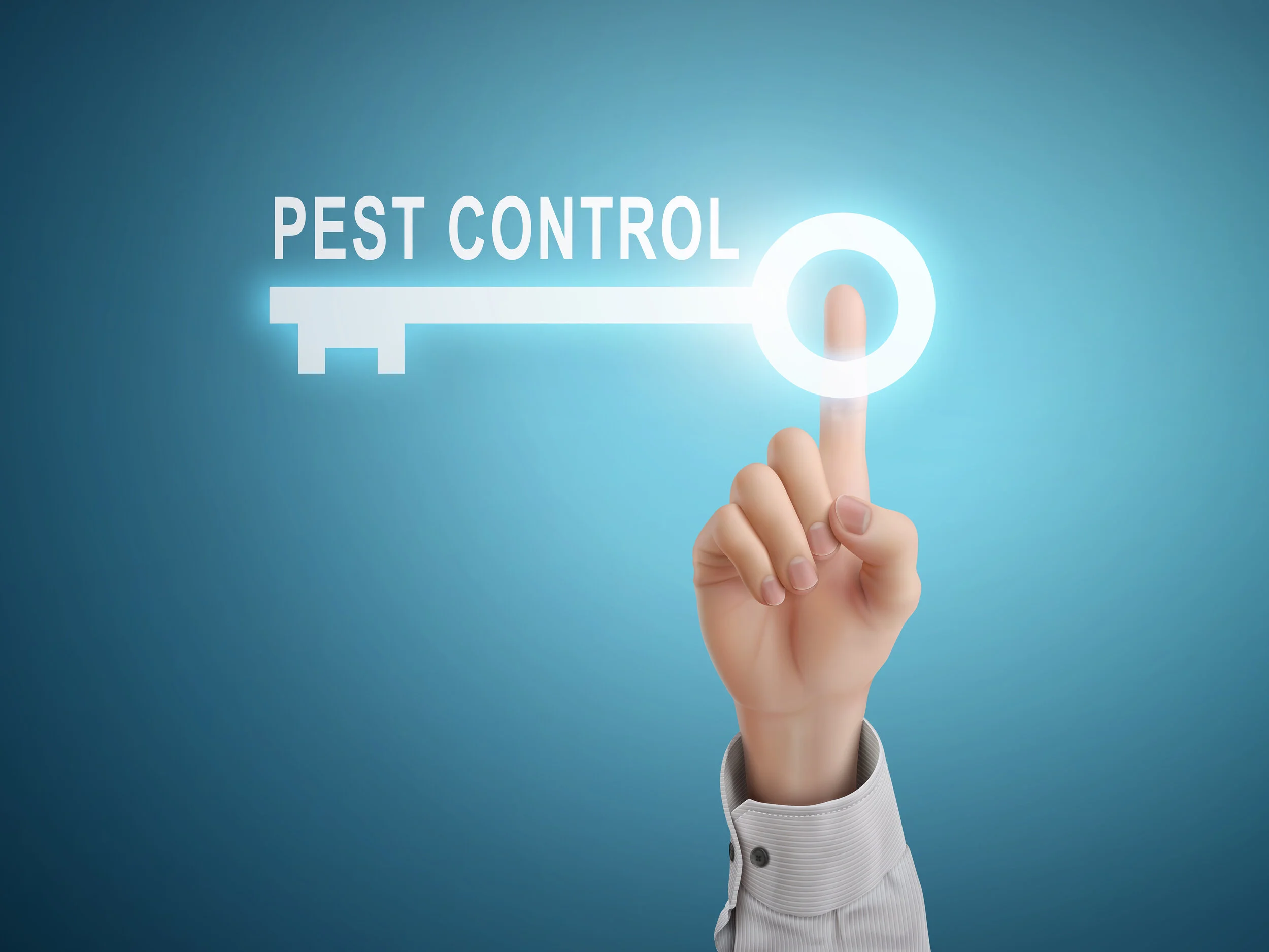 What is the Role of a Pest Management Company?
