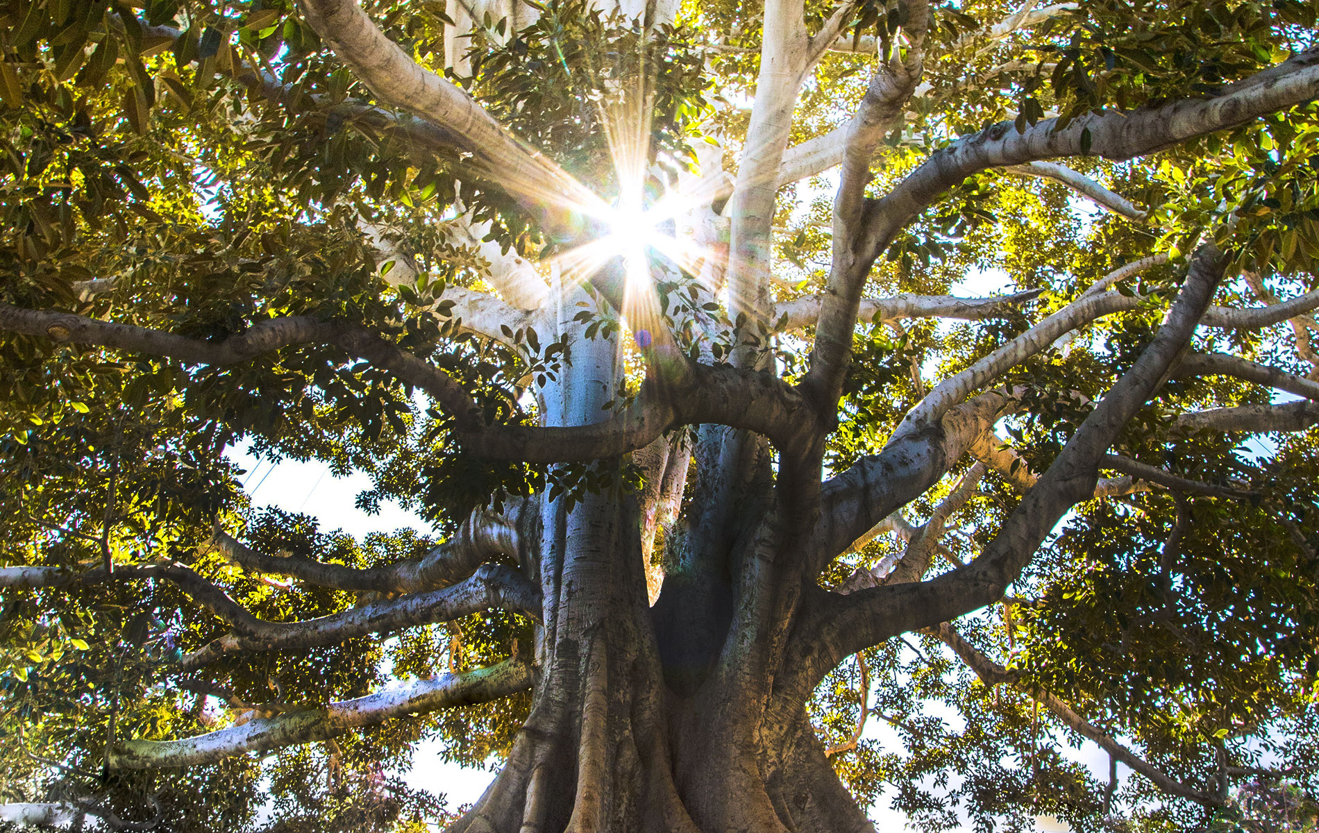 homepage-header-branches-v2.jpg
