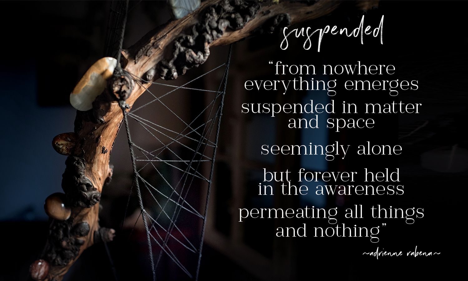 suspended.png