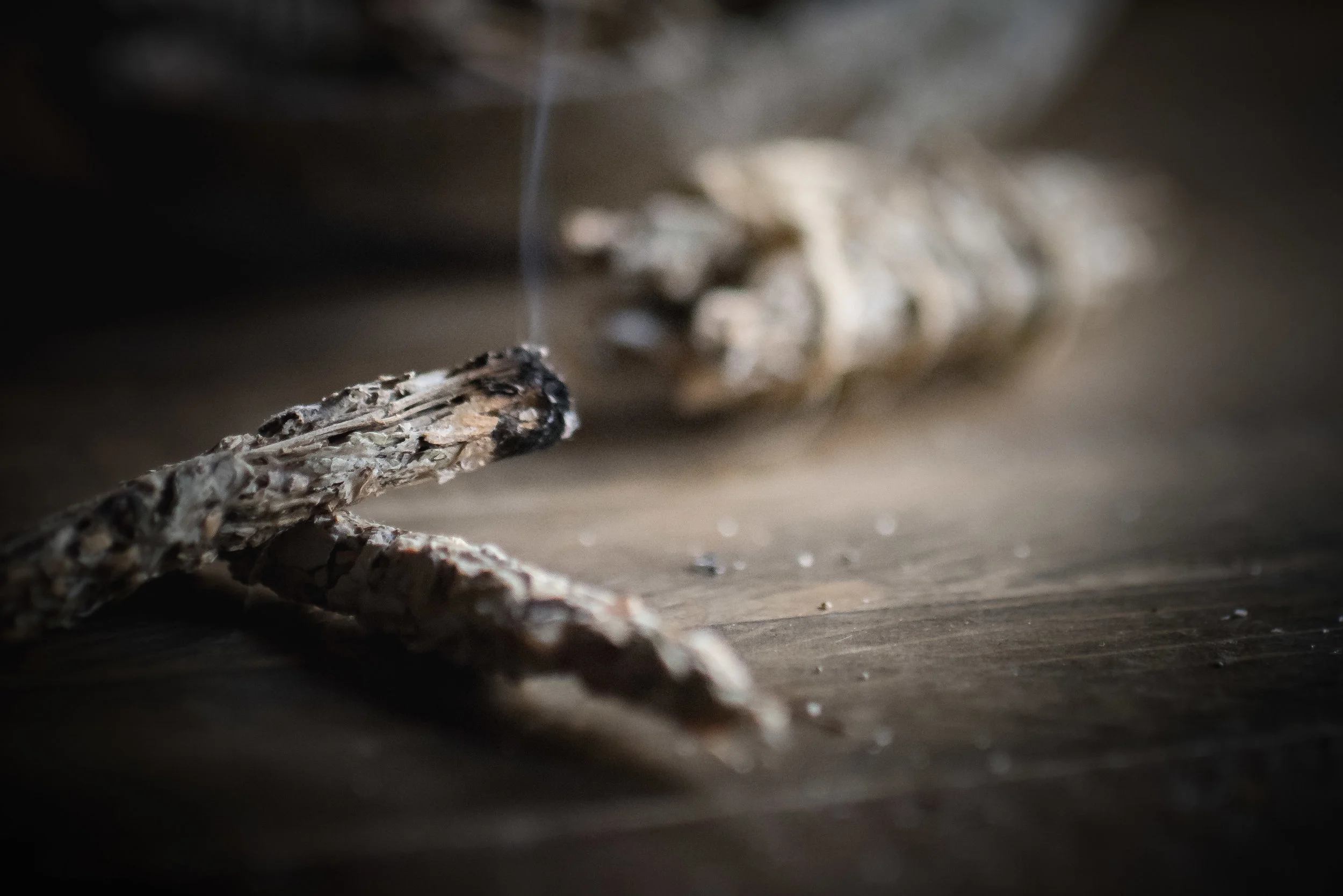 Smudge Sticks (2 of 6).jpg