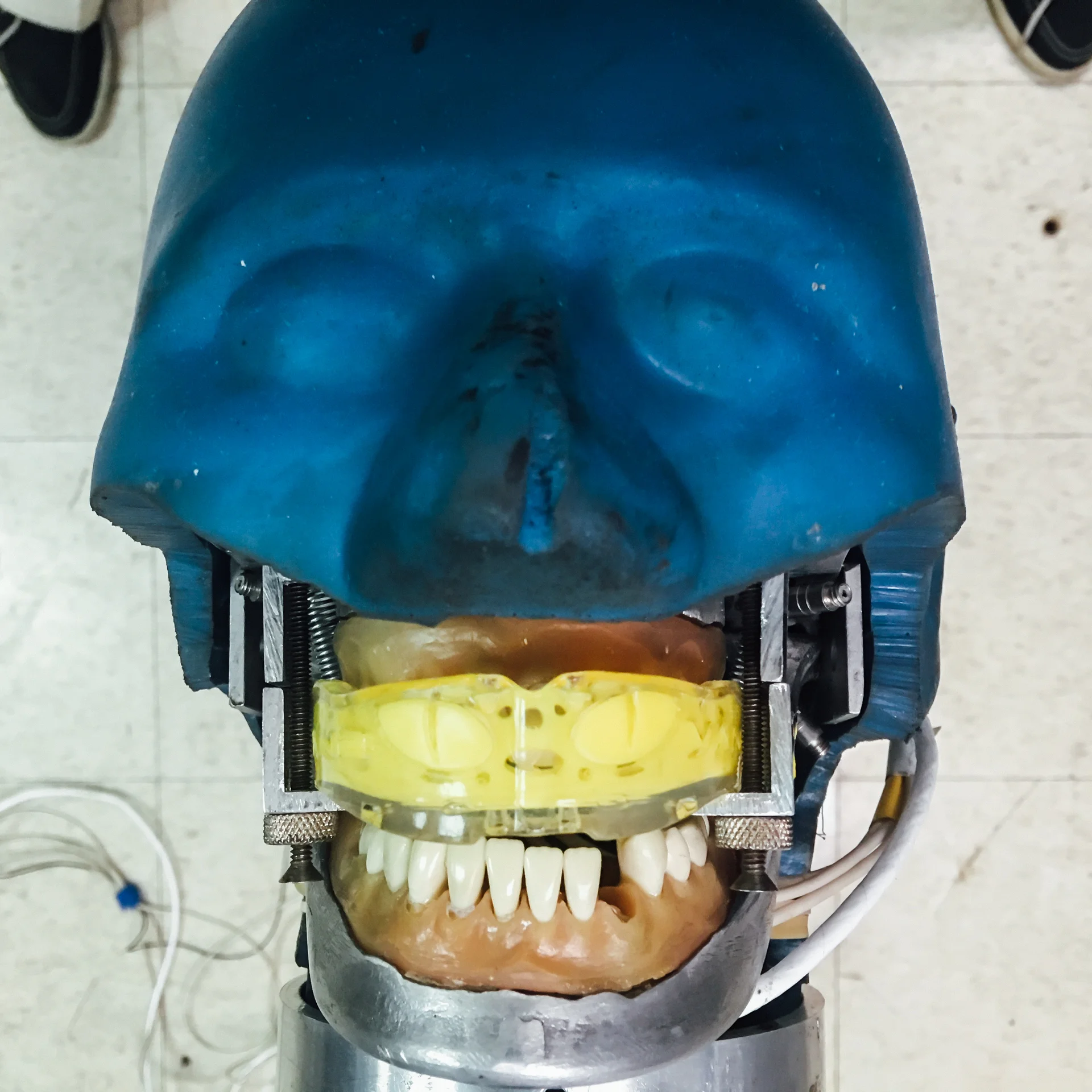 Figure 2b: Modified headform wearing mouthguard that is secured by clamps