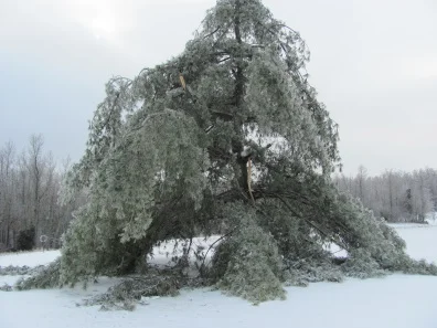 Ice and Snow - Bless the Lord!