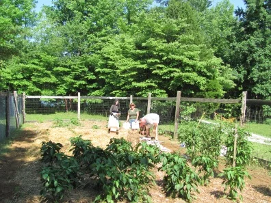 gardeners2011blog