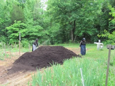 wynncompost2012blog3