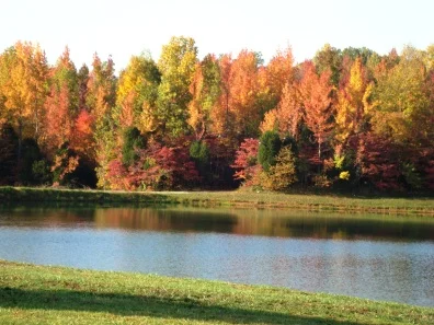 fall2012blog15