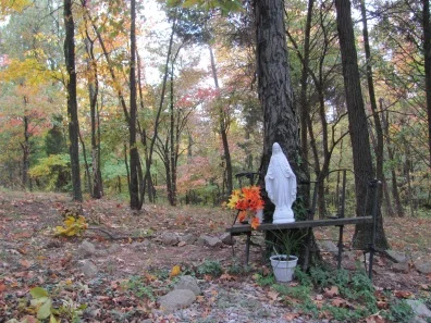 fall2012blog5