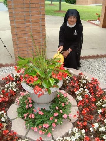 smtgardenblog
