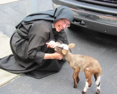 A Visit by Eva the Little Orphan Lamb