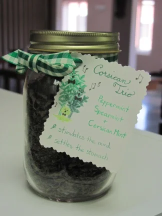 Monastic Tea Garden - the Mints