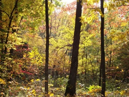 With You - A Poem of a Contemplative