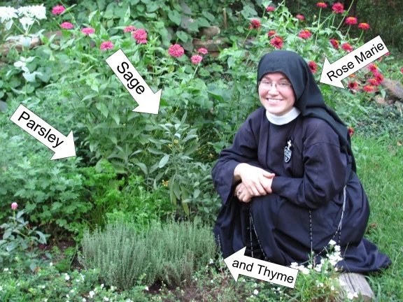 Contemplative Silliness