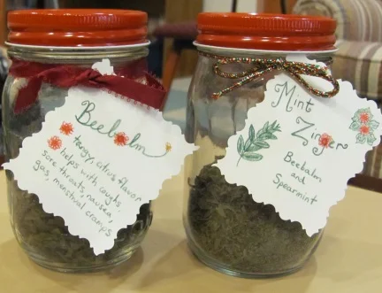 Beebalm and Mint Zinger Teas
