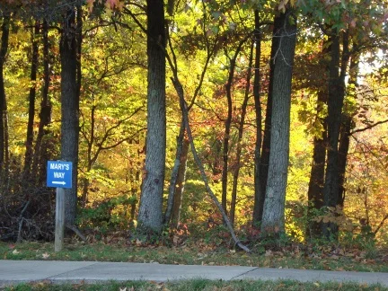 monasteryhikingtrailblog2014.jpg