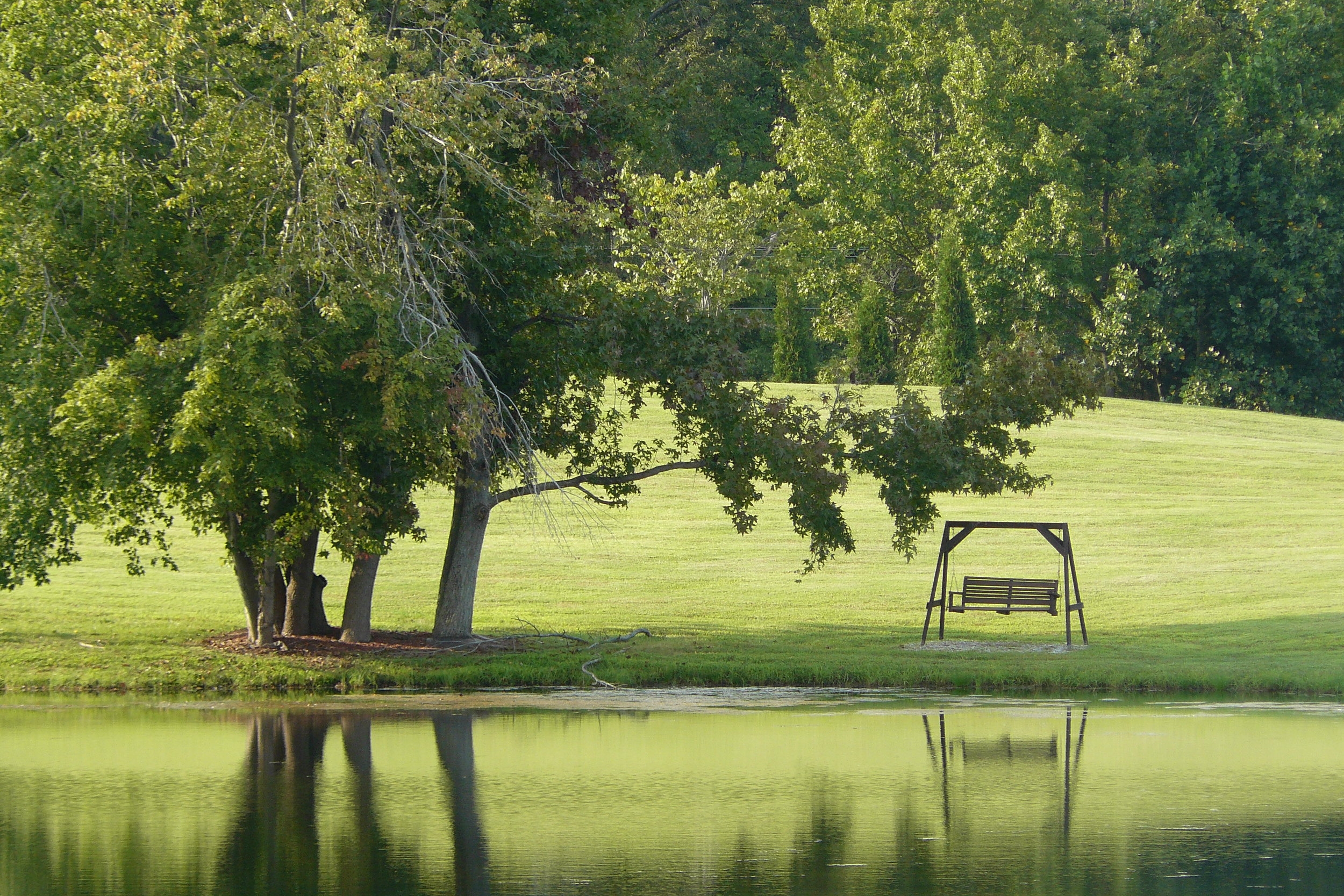 Lakeside Contemplation