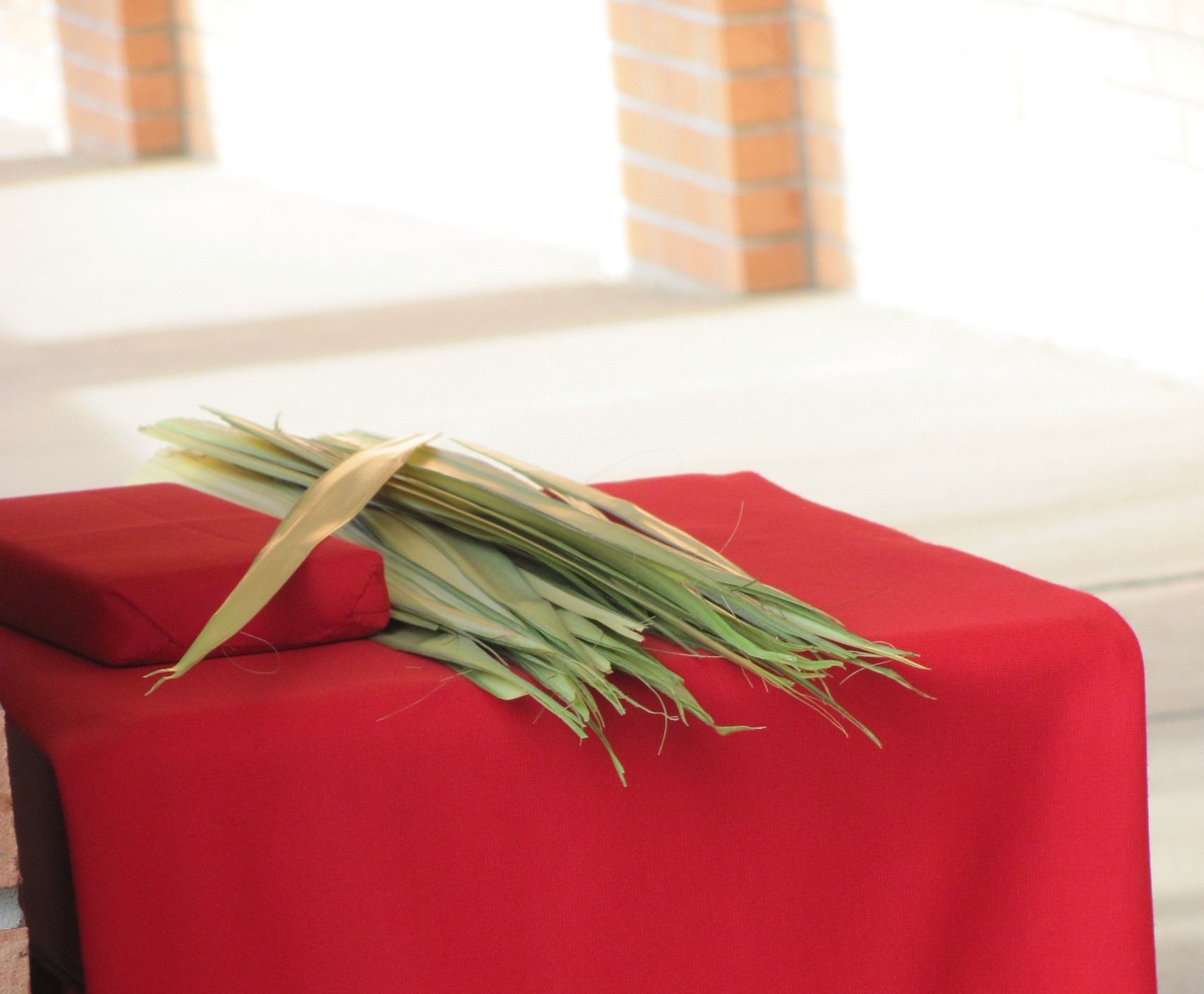 Holy Week 2018: Palm Sunday