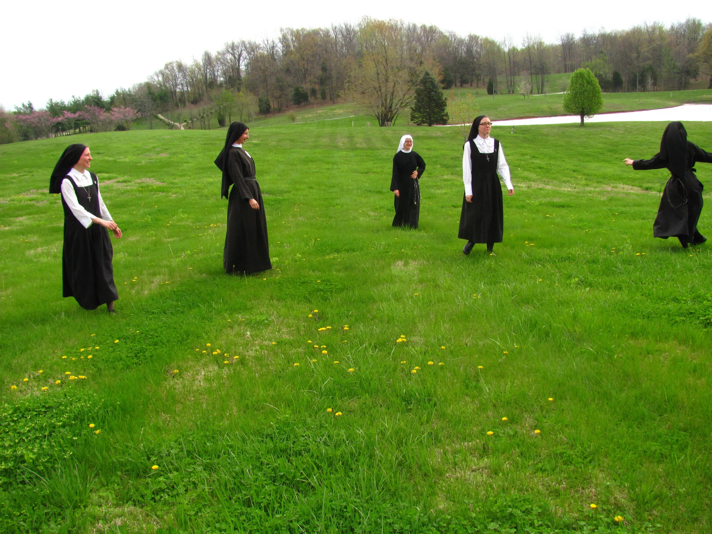 The hills are alive with the sound of music...